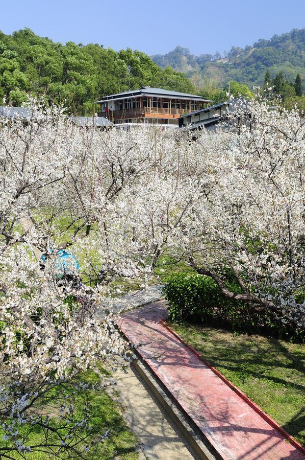 Maylin B&B Xinshe Esterno foto