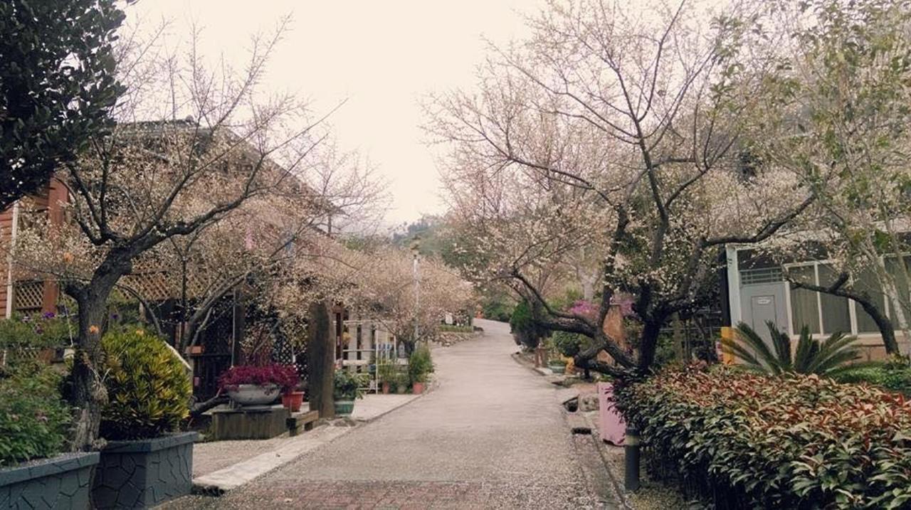 Maylin B&B Xinshe Esterno foto